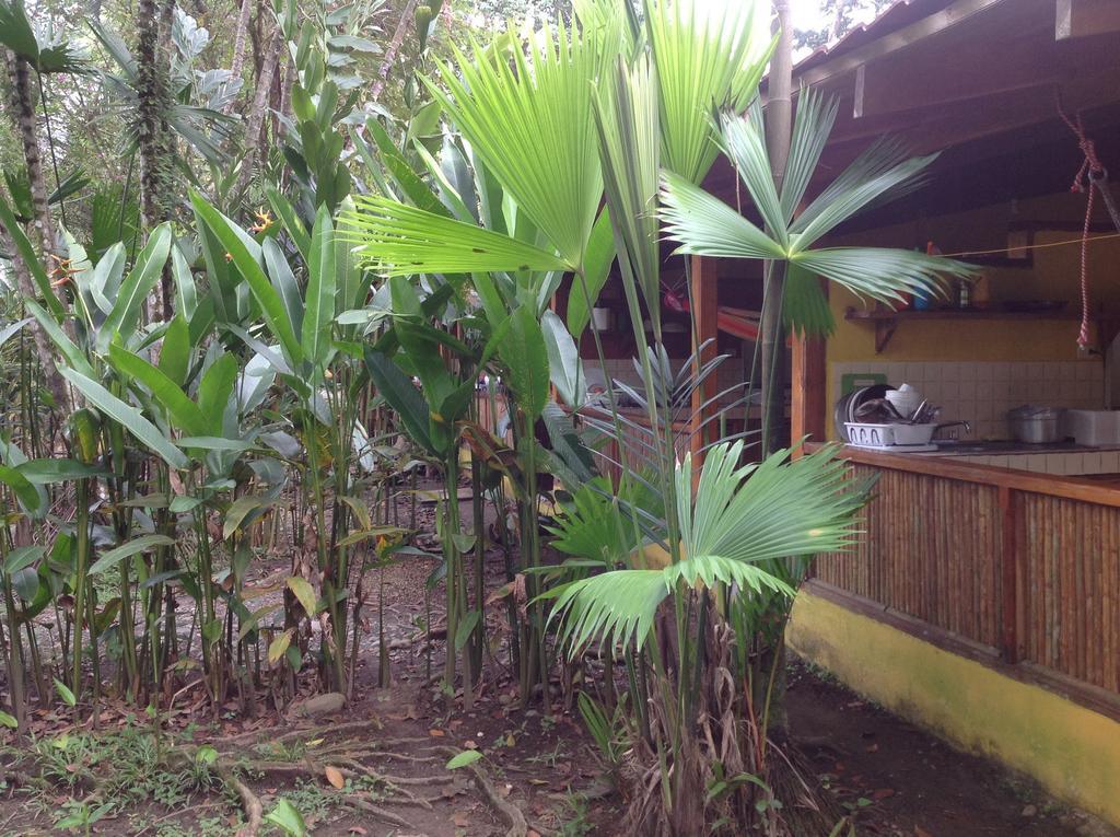 Exotica Lodge Puerto Viejo de Talamanca Room photo