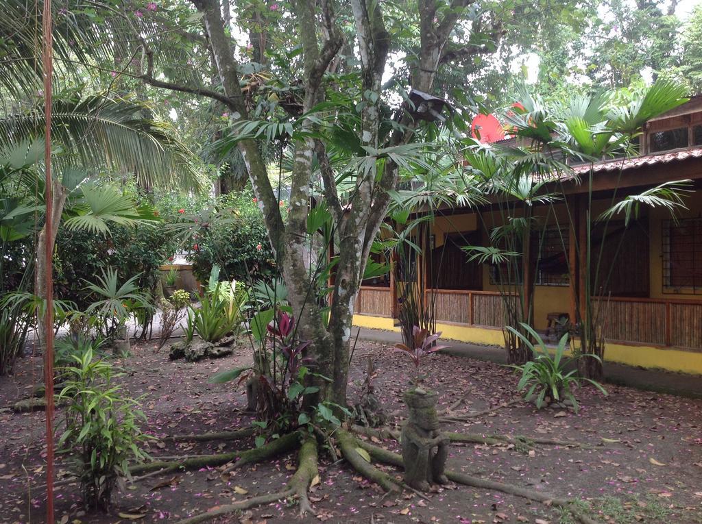 Exotica Lodge Puerto Viejo de Talamanca Exterior photo