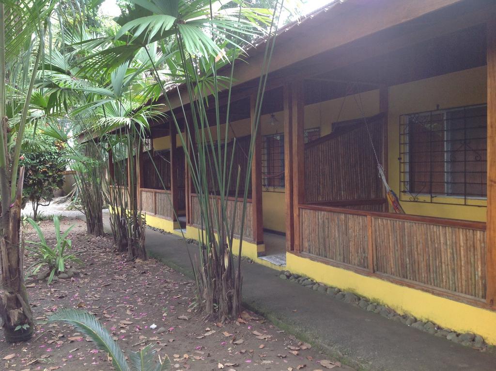 Exotica Lodge Puerto Viejo de Talamanca Exterior photo